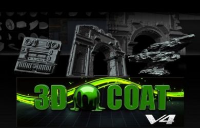 3D Coat Crack
