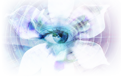 Blue Iris Crack
