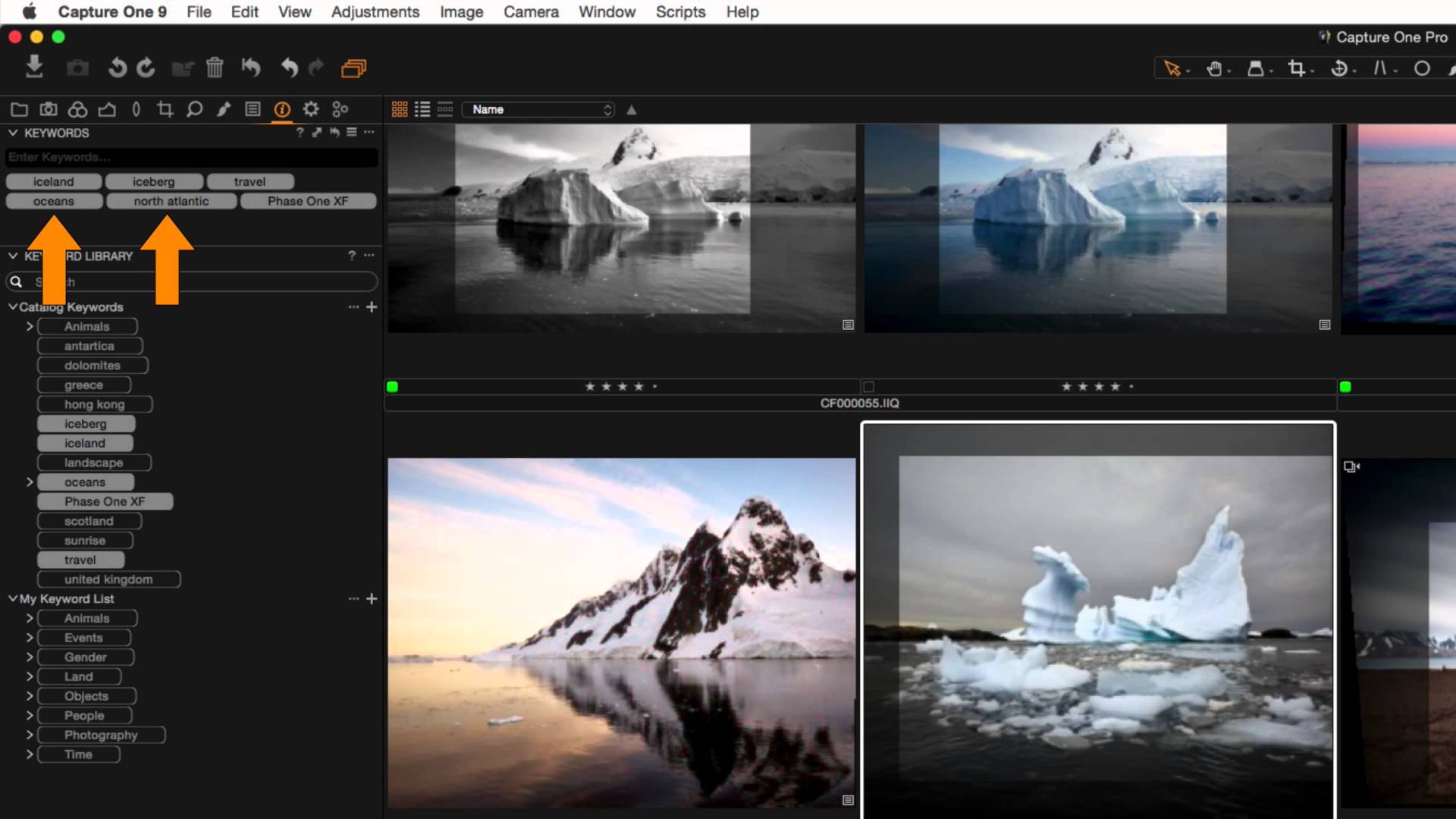 Capture One Crack Mac