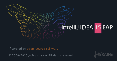 IntelliJ IDEA Crack
