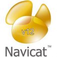 Navicat Premium Crack