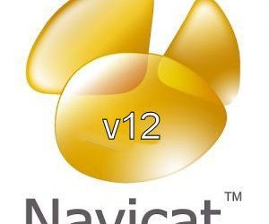 Navicat Premium Crack