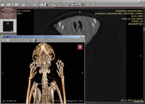 Radiant dicom viewer crack keydux