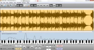 Transcribe crack 2023 keydux